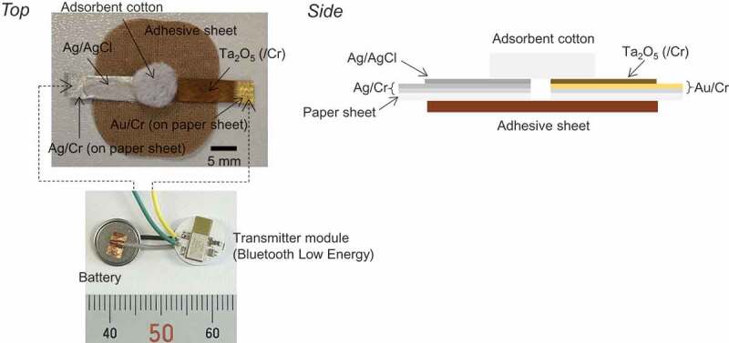 Figure 1.