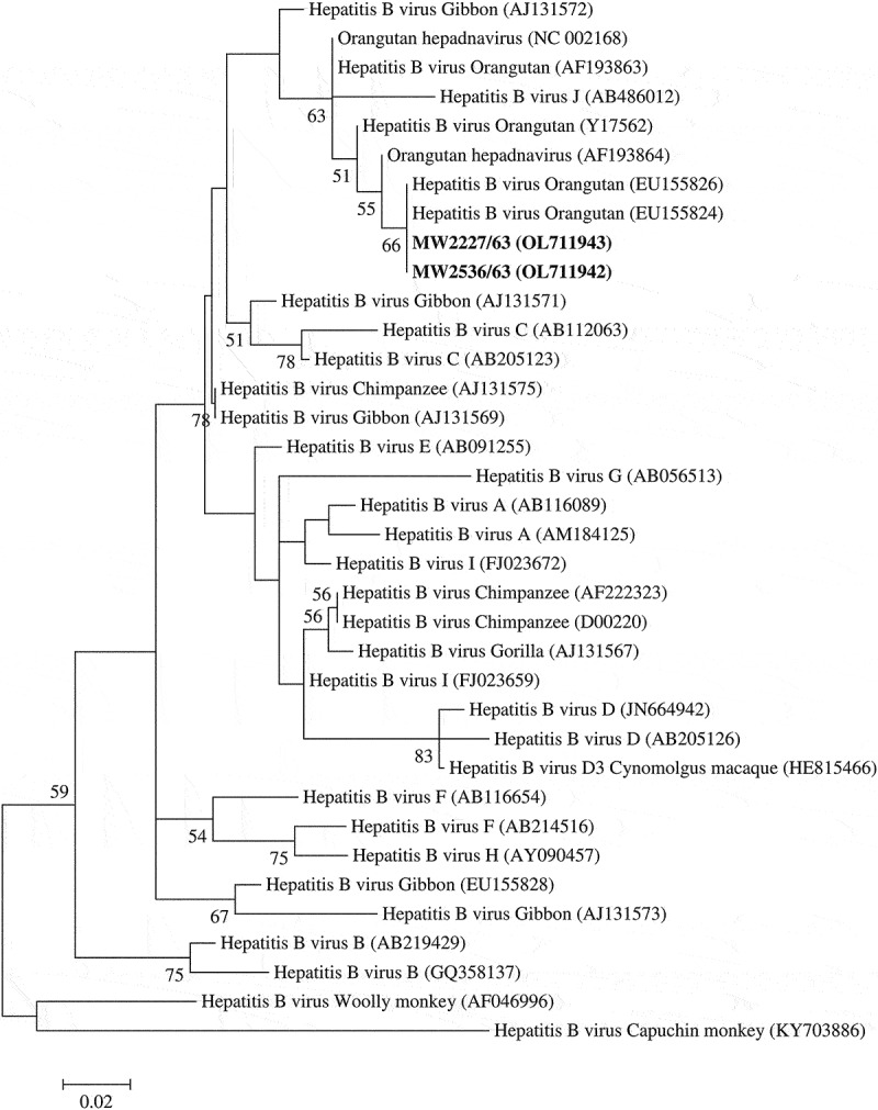 Figure 2.