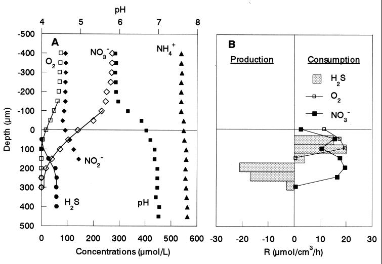 FIG. 6