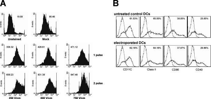 Fig. 1A, B