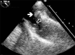Fig. 1.