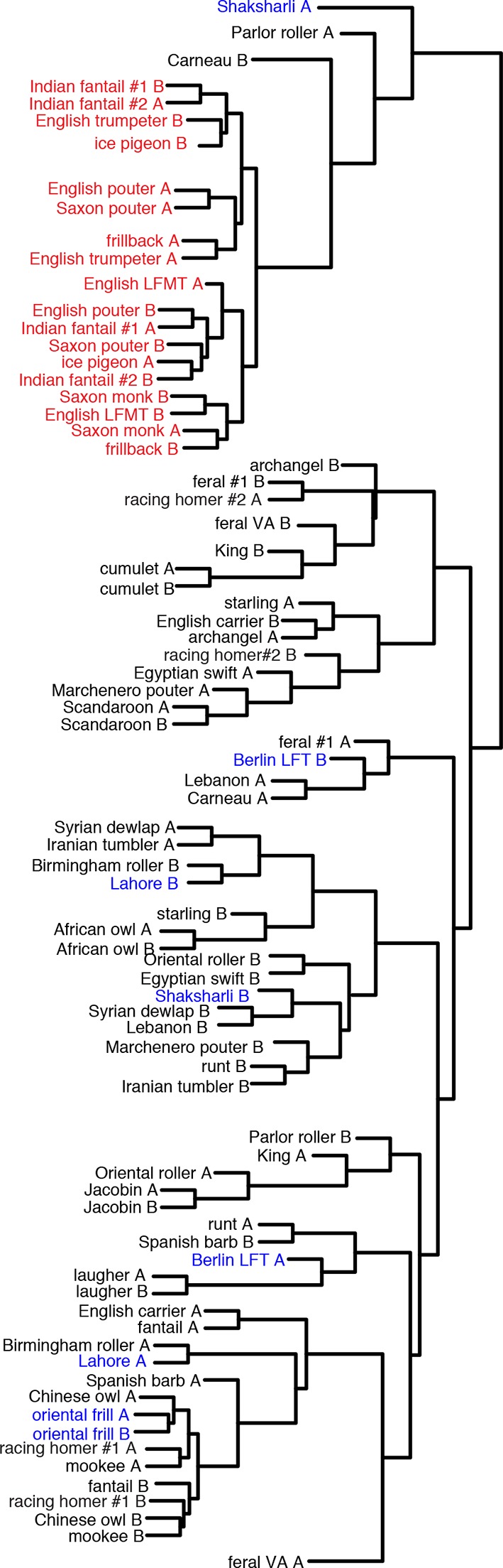 Figure 2—figure supplement 3.