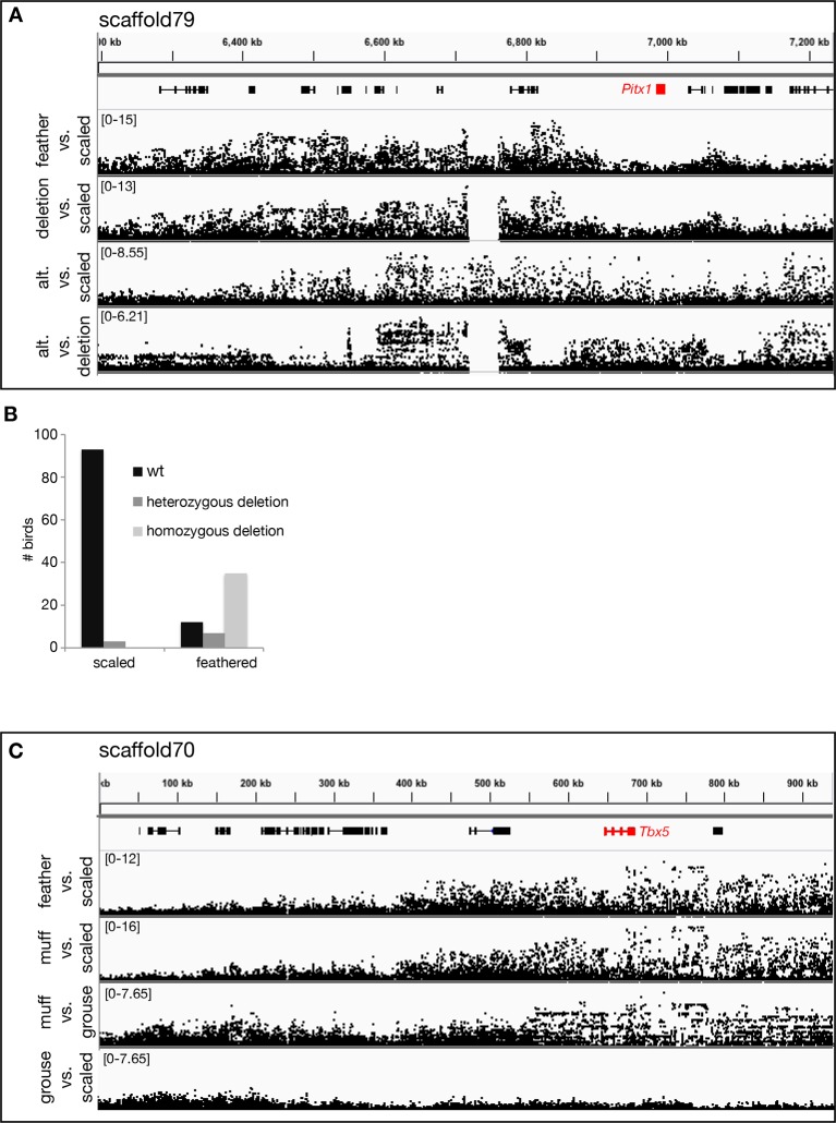 Figure 2—figure supplement 2.