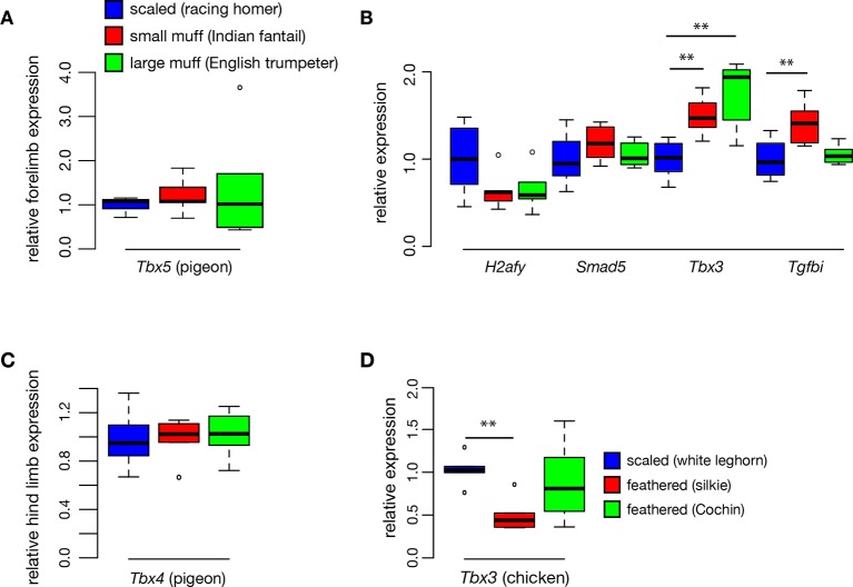 Figure 3—figure supplement 1.