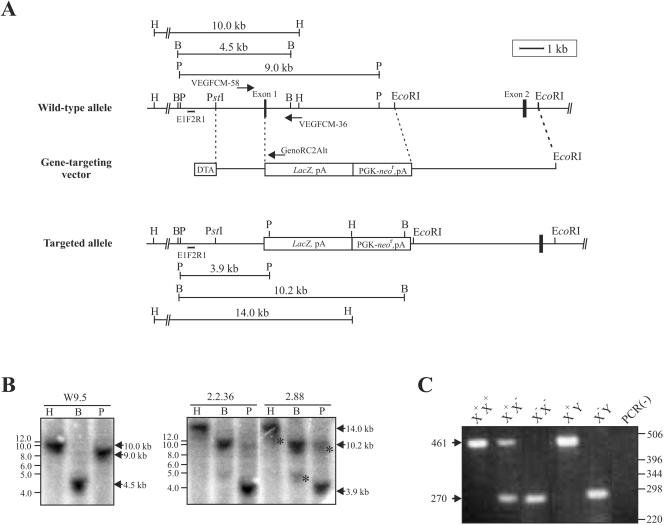 FIG. 1.