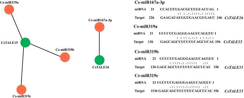 Fig. 10