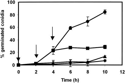 FIG. 7.