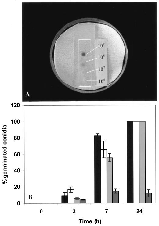 FIG. 2.