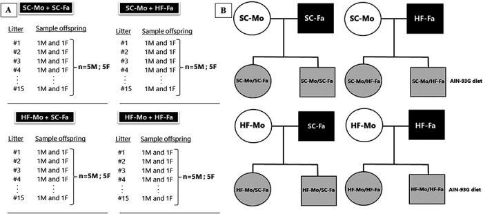 Fig 1