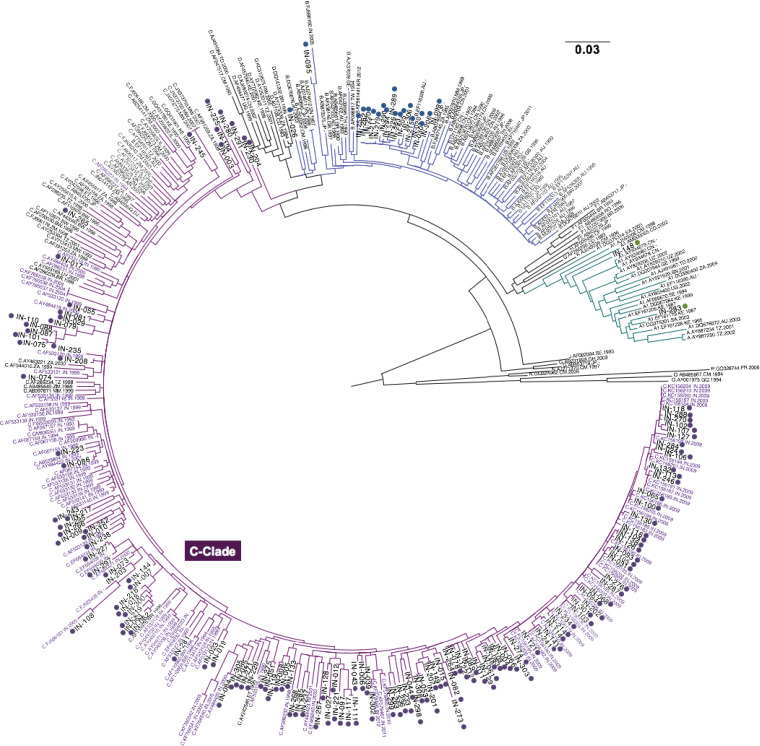 FIG 3