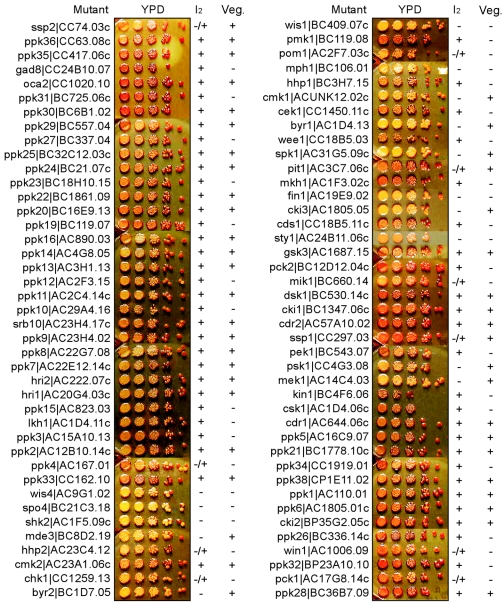 FIG. 6.