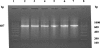 FIG. 2.