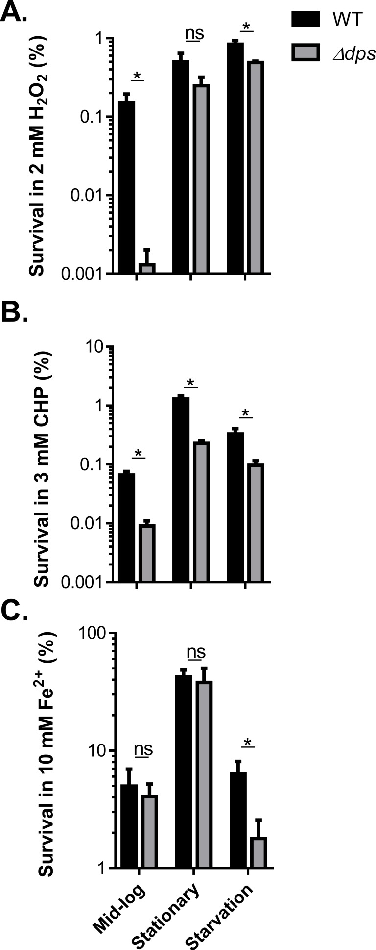 Fig 4