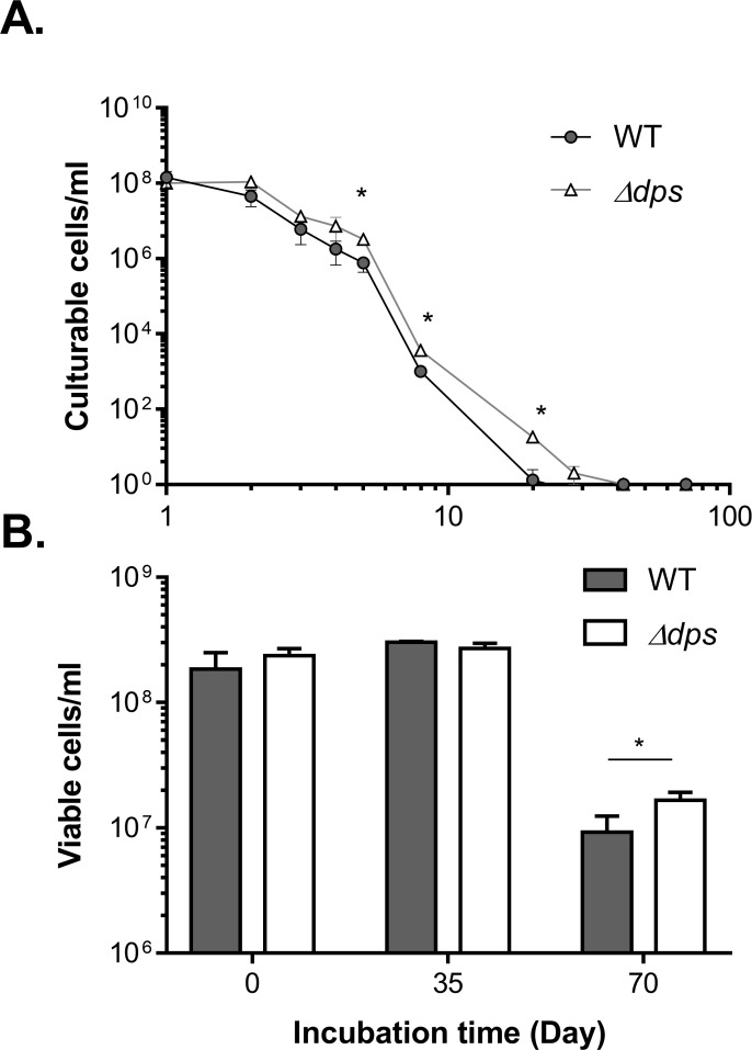 Fig 5