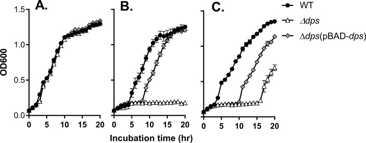 Fig 3