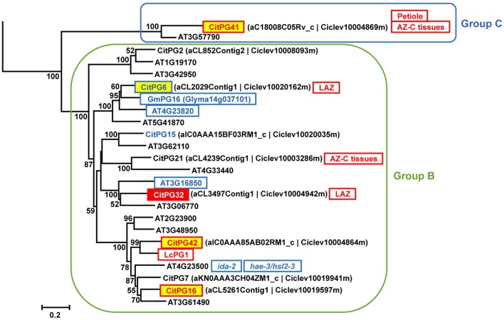 Figure 6