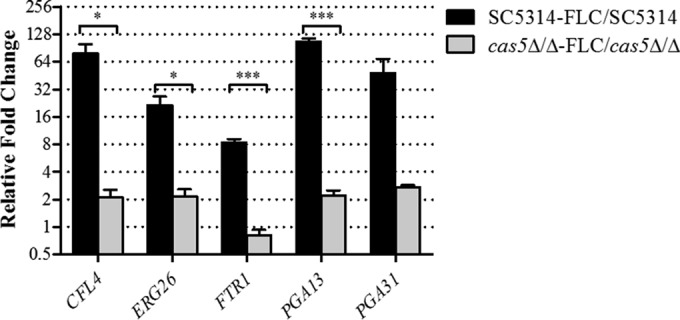 FIG 5