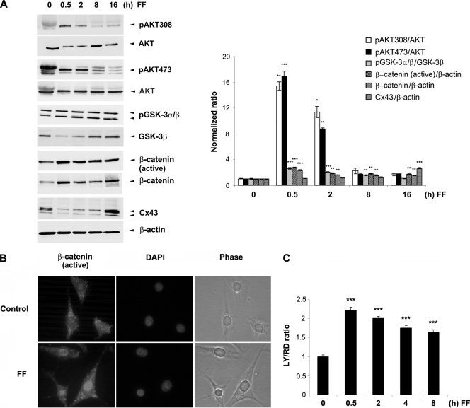 FIG. 7.