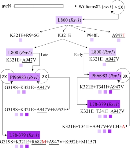 FIG. 2.