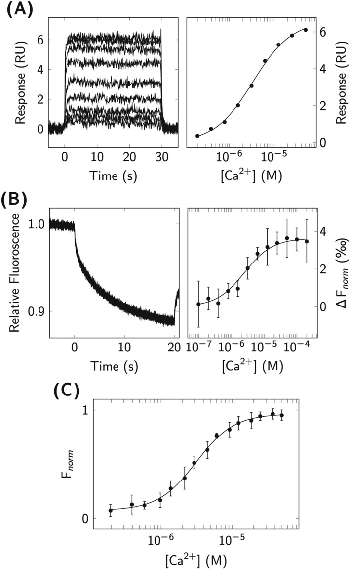 jmr2621-fig-0003