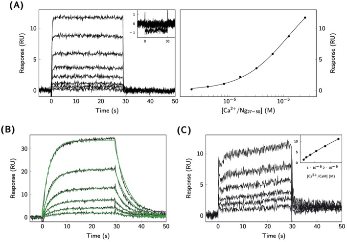 jmr2621-fig-0006