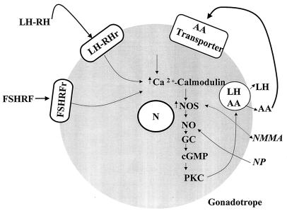 Figure 14