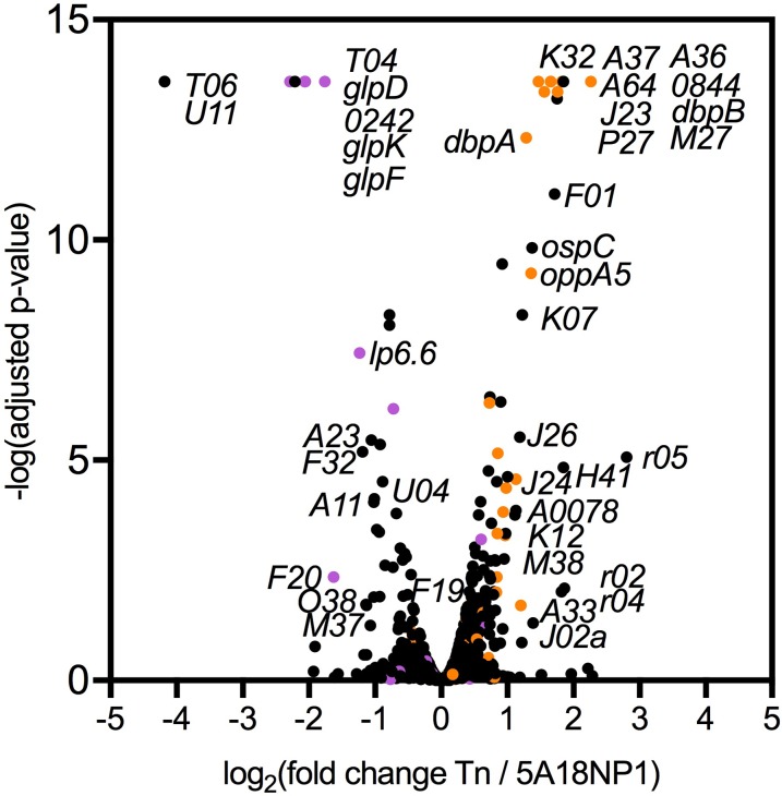 Fig 4