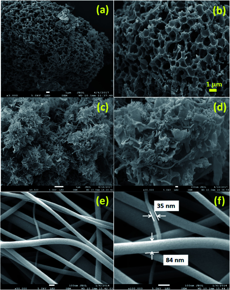 Fig. 24