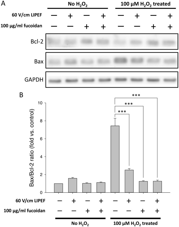 Fig 5