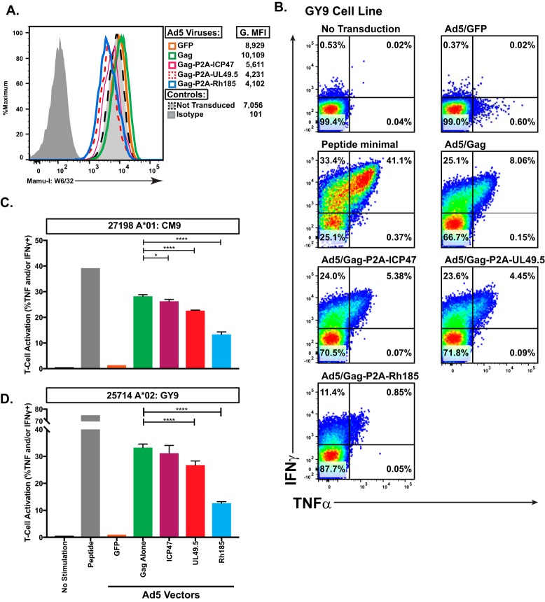 FIG 2