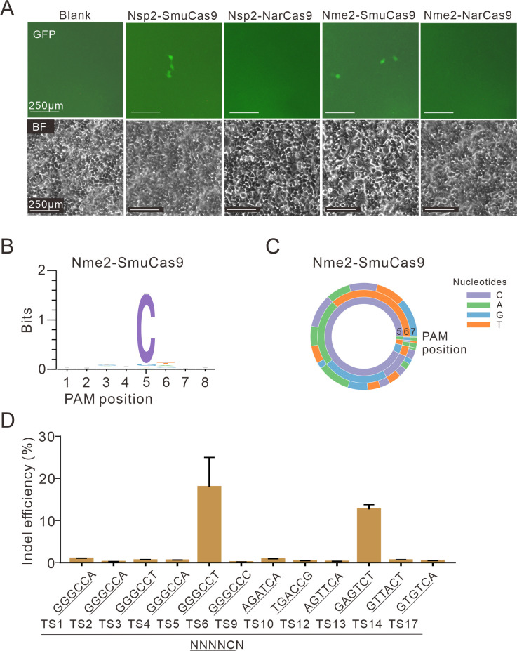 Figure 4—figure supplement 1.