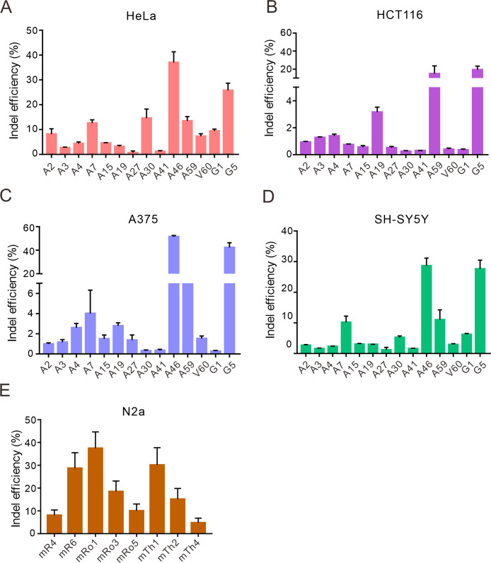 Figure 3—figure supplement 2.