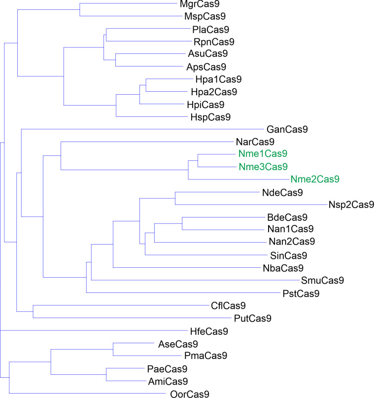 Figure 1—figure supplement 1.