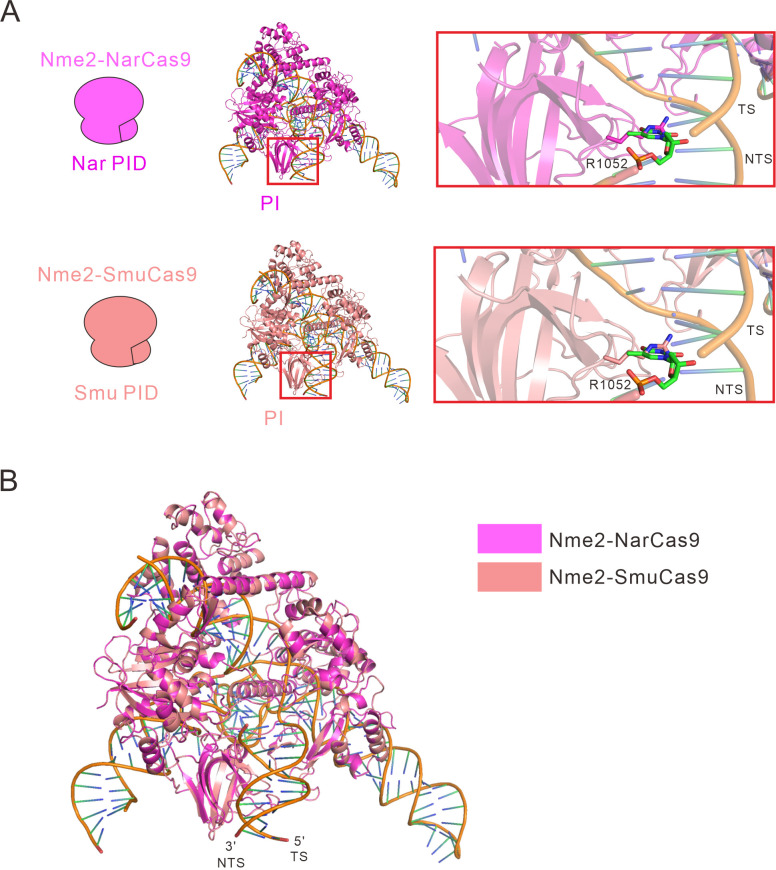 Figure 4—figure supplement 3.