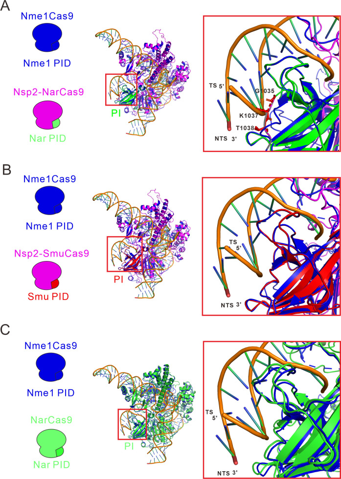 Figure 4—figure supplement 2.