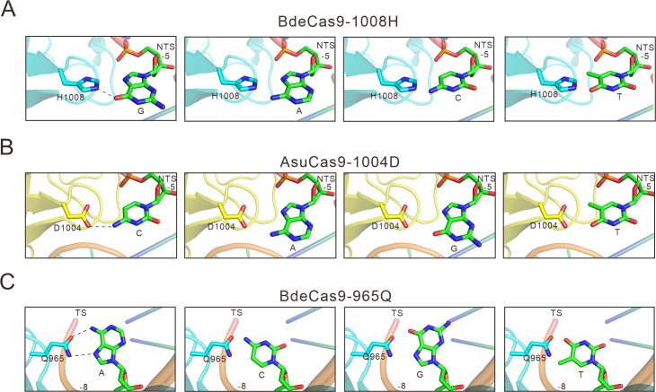 Figure 2—figure supplement 2.