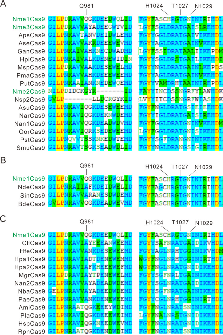 Figure 1—figure supplement 2.