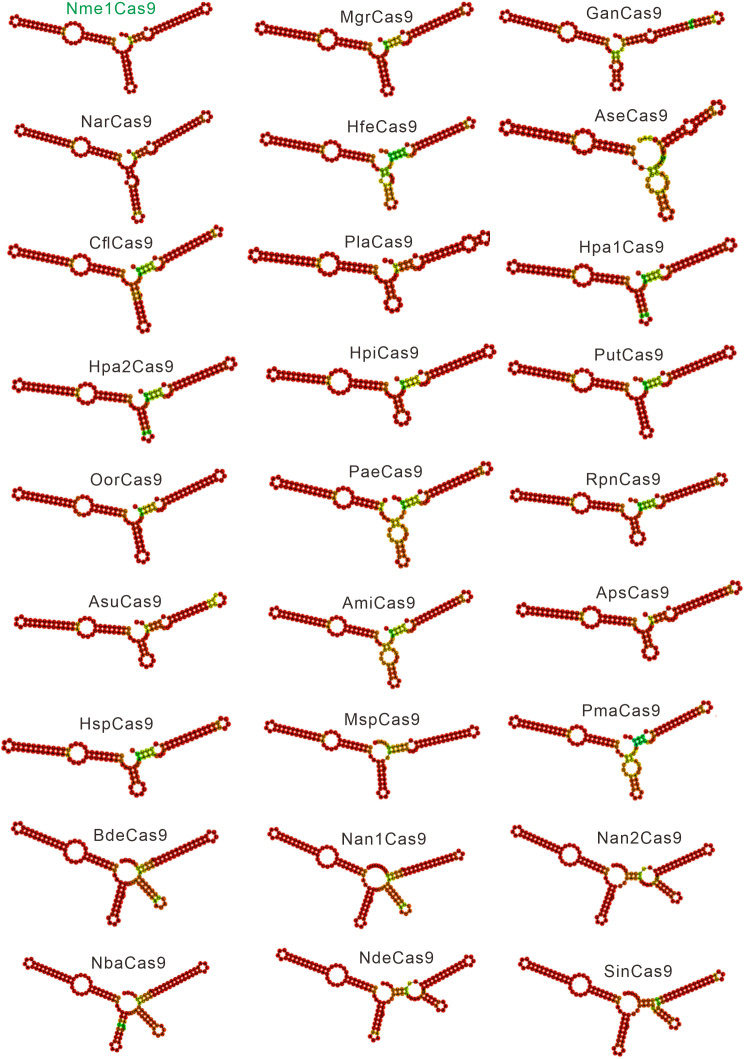 Figure 1—figure supplement 4.