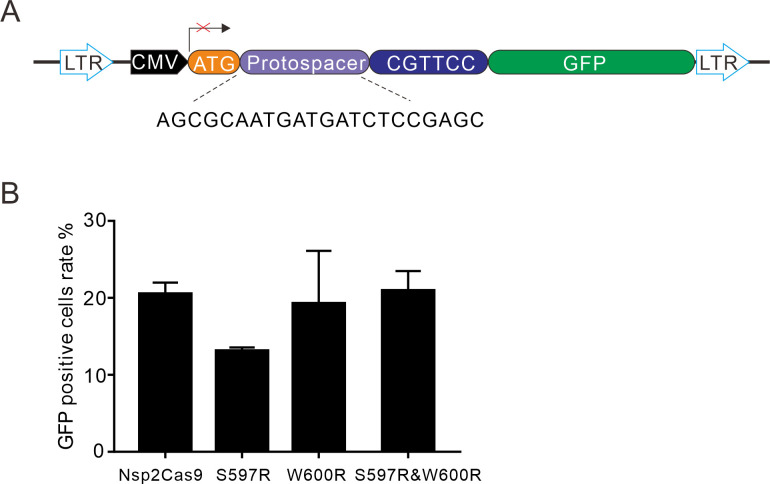 Figure 3—figure supplement 3.