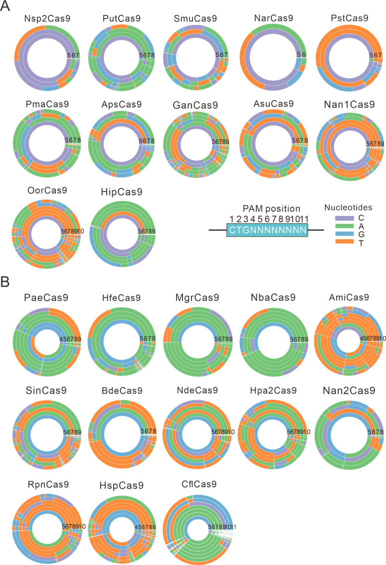 Figure 2—figure supplement 1.