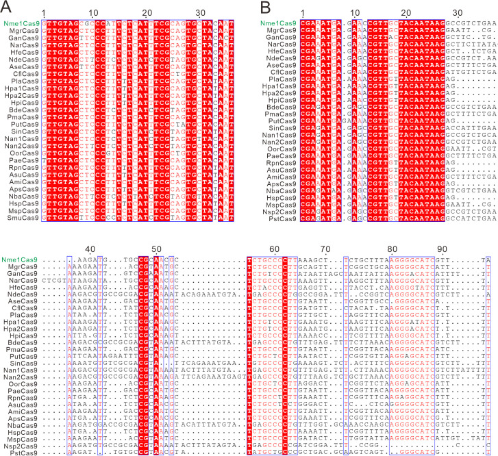 Figure 1—figure supplement 3.