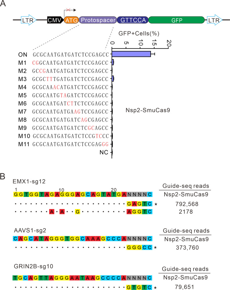 Figure 7.