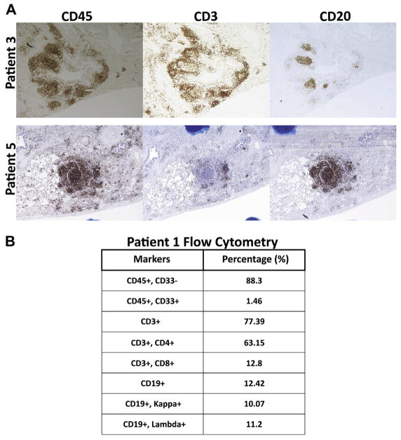 FIG 1