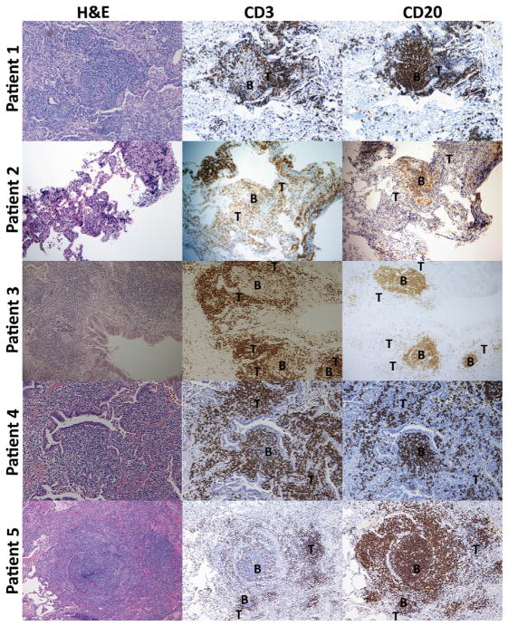 FIG 2