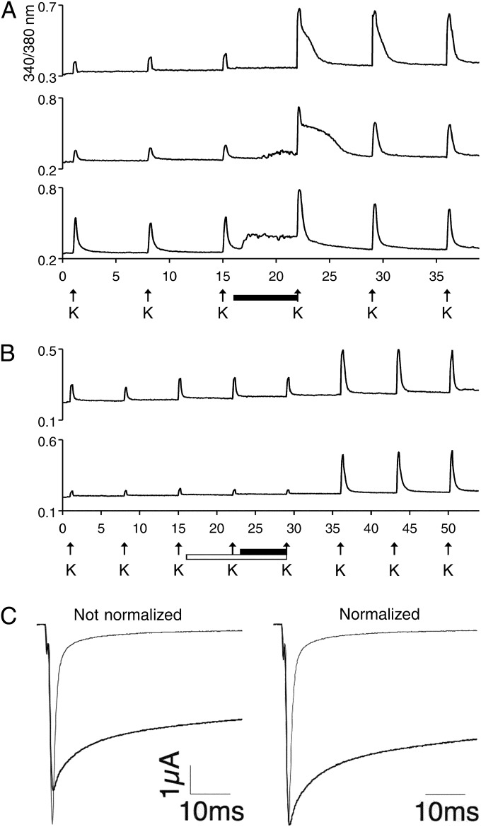 Fig. 4.