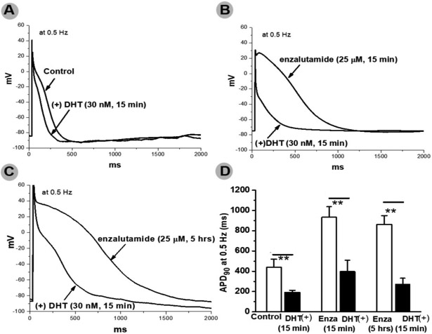 Fig.3