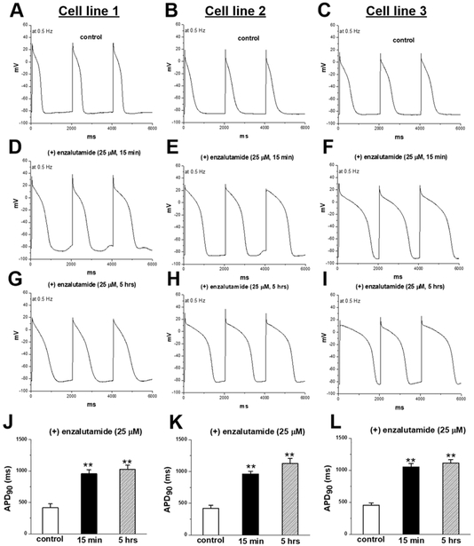 Fig.2