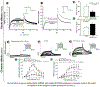 Fig.4