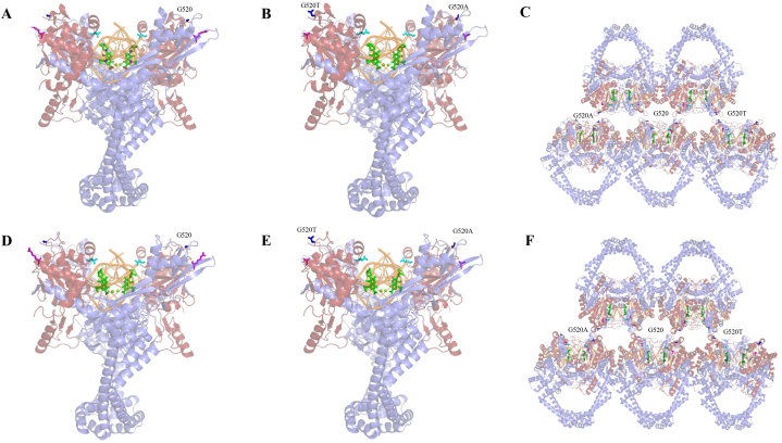 Fig. 3