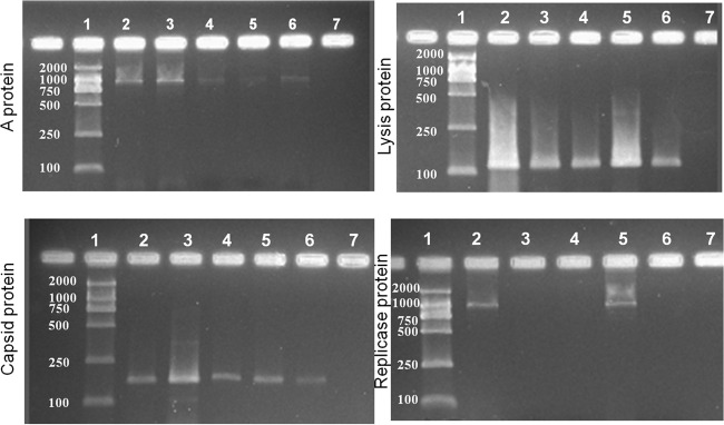 FIG 6